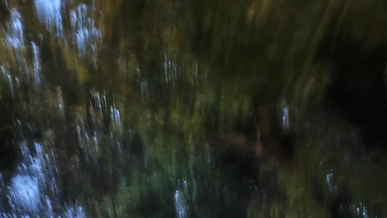 vanaaaa7777