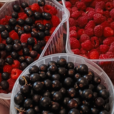 Лисёнок в LOOKY. #лето,#ягоды,#малина,#смородина,#сладостилета,#витамины,#природа,#вкусно. Летний урожай ягод -...