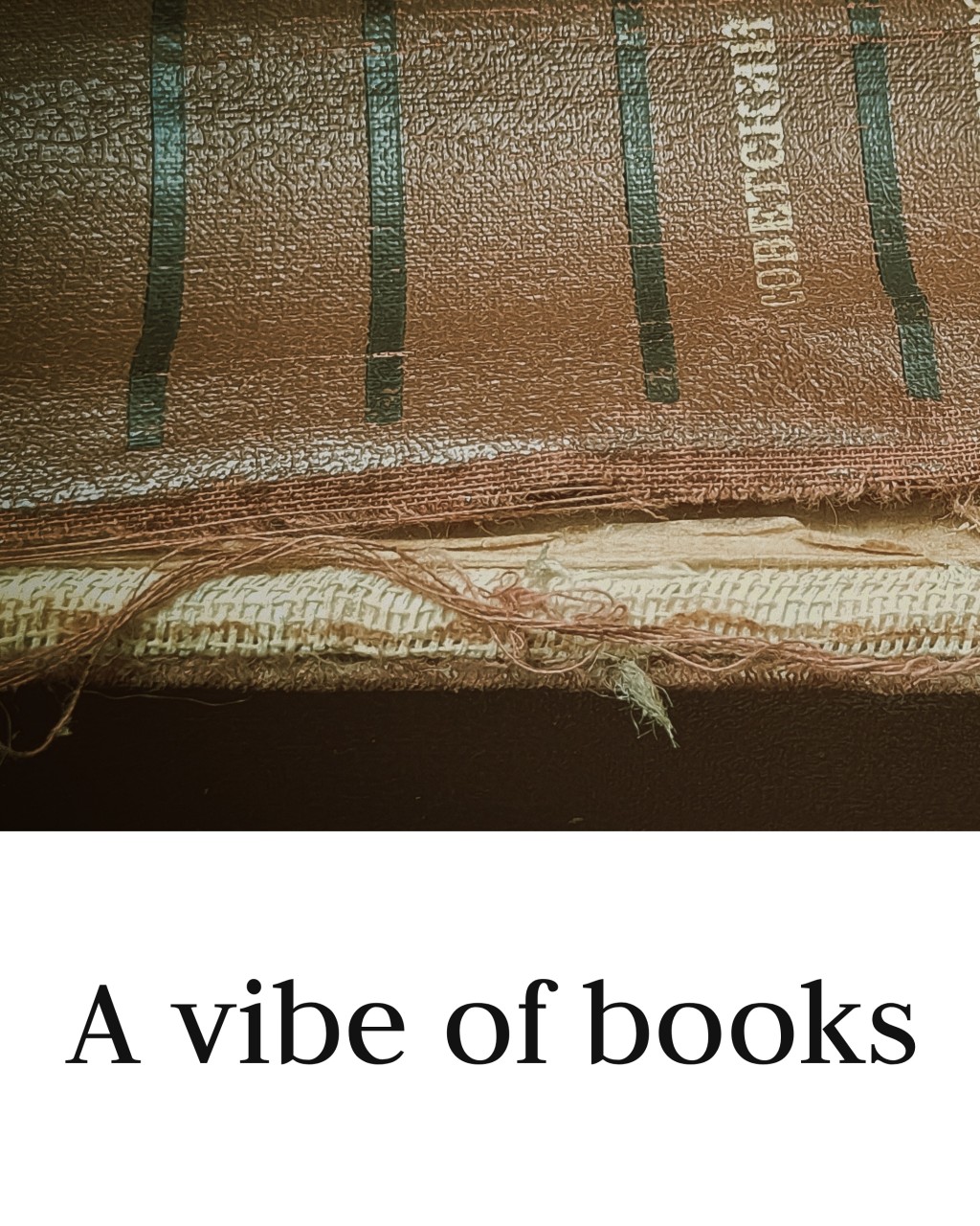 Книжный вайб
