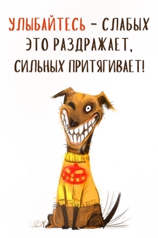 Sunsun в LOOKY. . [#улыбка ](улыбка) [...