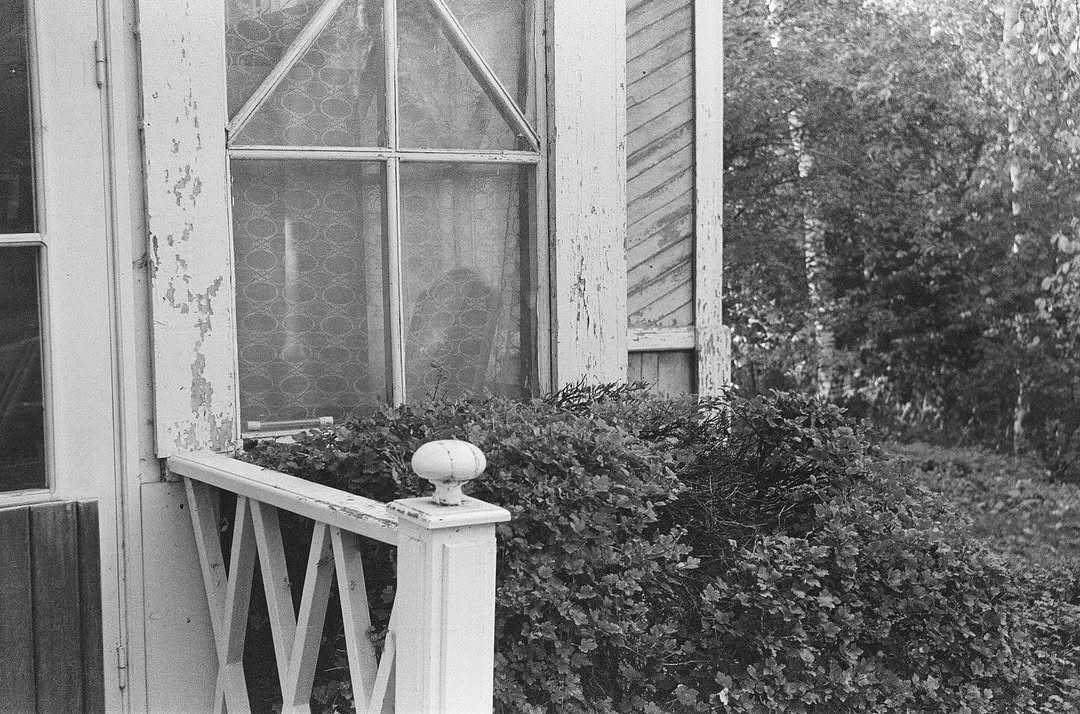 nik_kotovnv в LOOKY. #35mm,#35mmfilm,#35mmphotography. 📸Sokol 2 🎞️Kodak D...