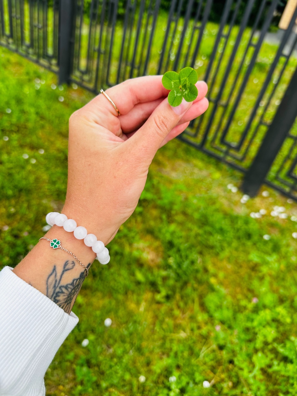 🍀 [#удачасомной ](удачасомной)