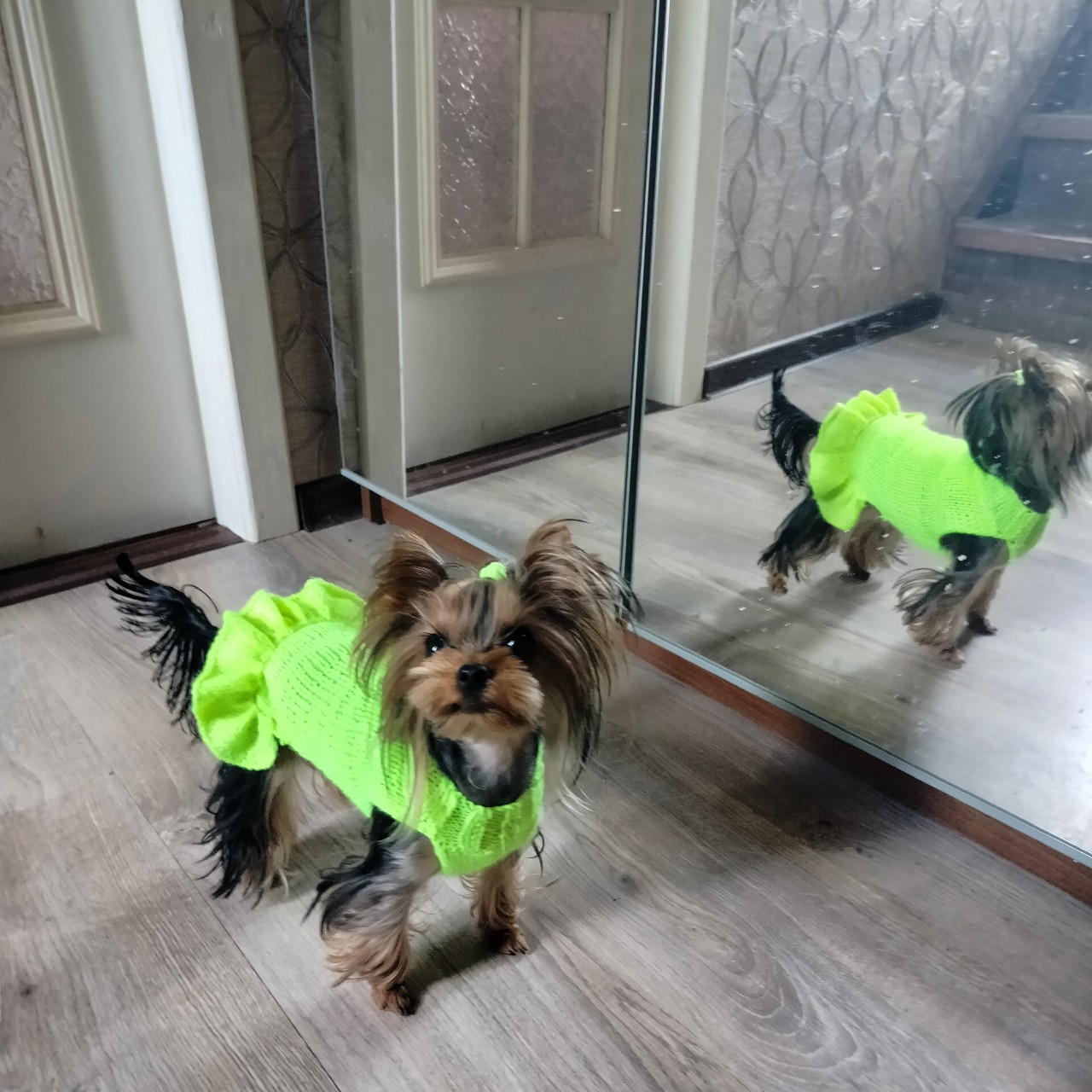 Vladova Tatiana в LOOKY — публикация