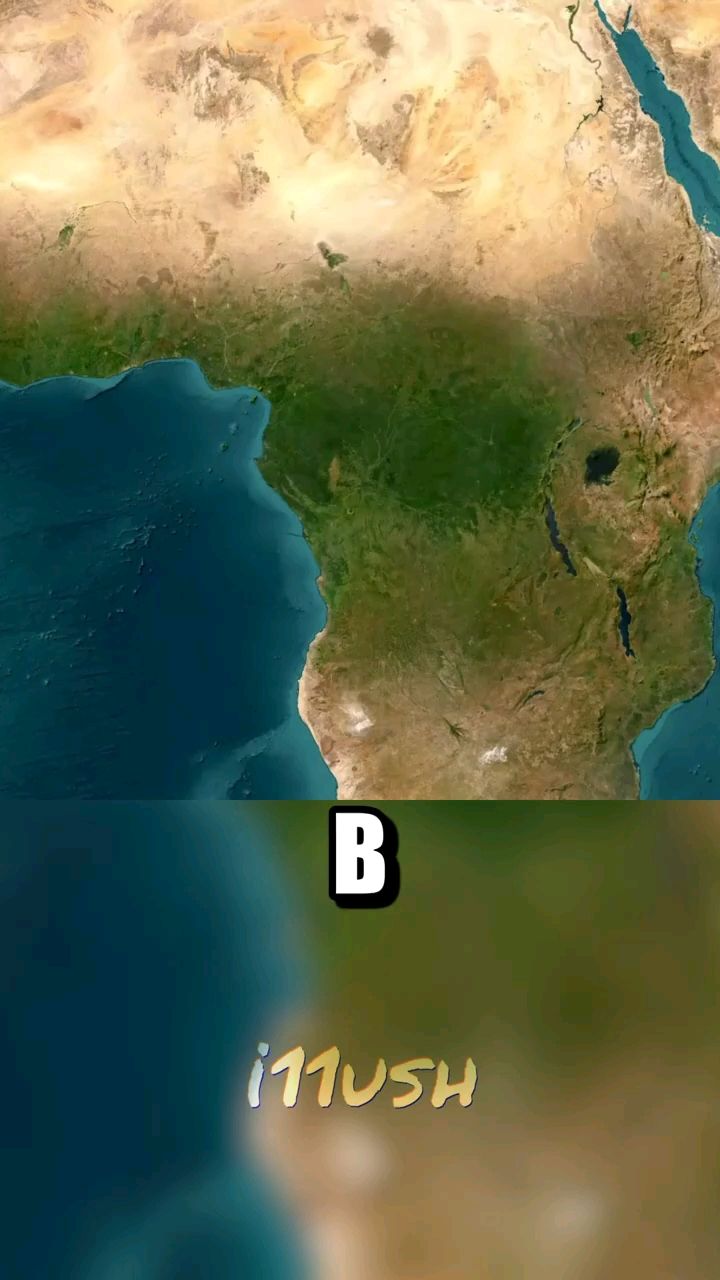 Белый шум в LOOKY. . Забудь про крипту, д...