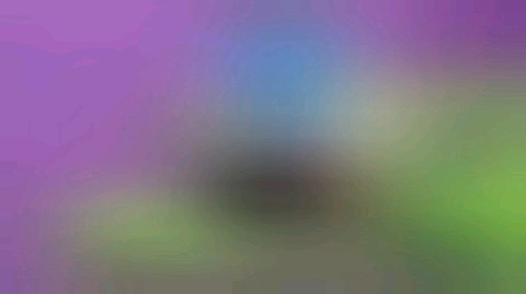 _annvznkv_av в LOOKY. #щенок,#собаки,#продажа. Продаётся щенок Англ...
