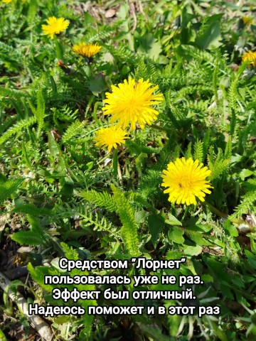 svesaratov в LOOKY. . В ПРОШЕДШИЕ ВЫХОДНЫЕ...