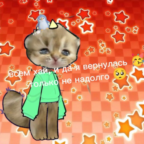 Котикс ушлаXS in LOOKY. . 