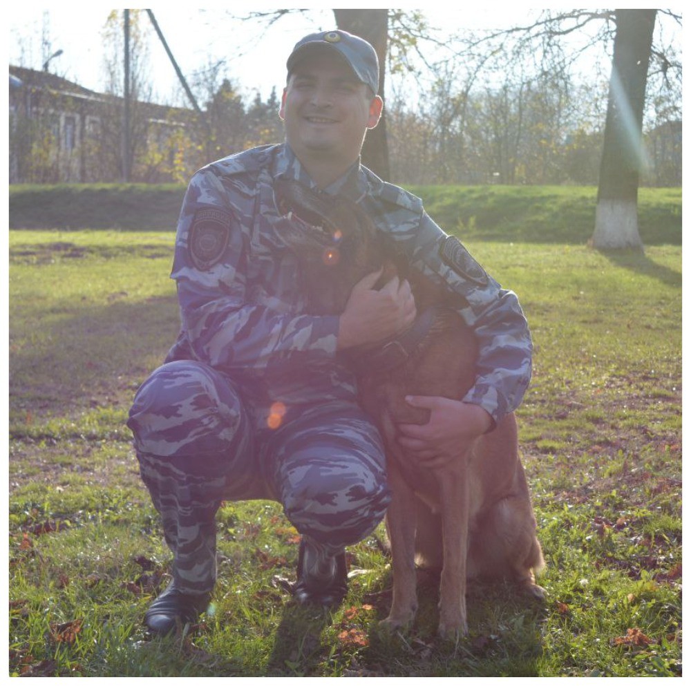 Собаки ищейки Новокубанск в LOOKY — Рокфор 🐊🐊🐊
[#рокки ](рокки)[#ищейка ](ищейка)[#новокубанс