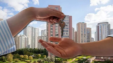 Vadim_Timkaev в LOOKY. . Рынок недвижимости: ...