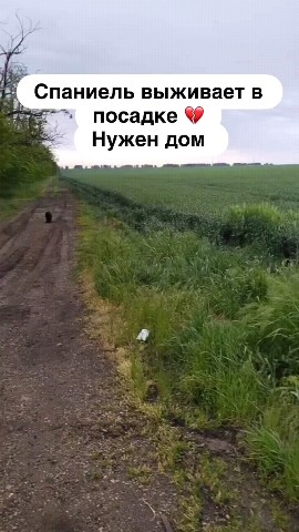 Looky_177234195672899 в LOOKY. . Очень нужен дом🙏🏻Т...