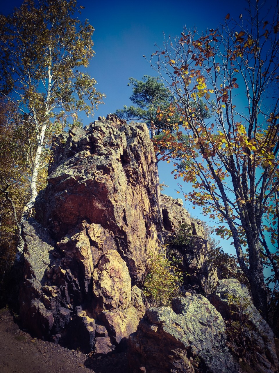 Немного хехцирского леса 🌳