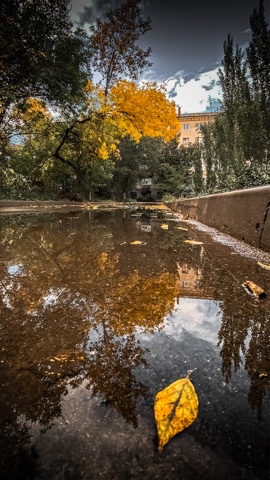 Slava_glz в LOOKY. #костанай,#казахстан,#smartography,#restore_digital_art,#urbanandstreet,#urbanromantix,#shotoniphone,#mobilography,#mobilelegends,#kostanay,#kazakhstan,#lightroom,#lightroompreset,#мобильноефото,#мобильнаяобработка,#urbanphotography,#light. Осень набирает оборо...