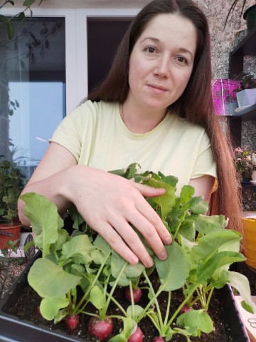 Евгения в LOOKY. #север,#огородвквартире,#редис,#огород,#лето,#редиснаокне,#фито,#цветы,#газета,#хобби. Выращиваю редис в кв...