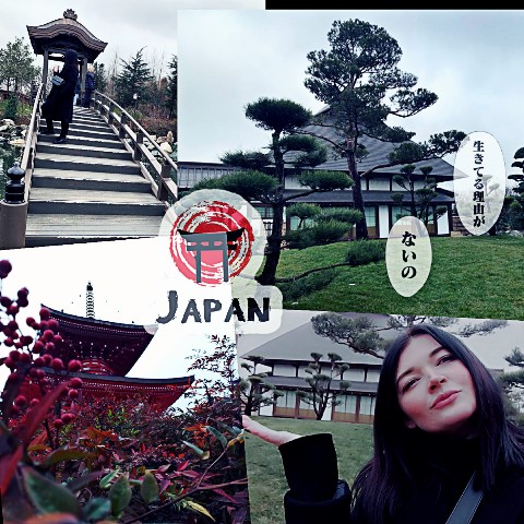 Tee в LOOKY. . Welcome to Japan🏯🎎...