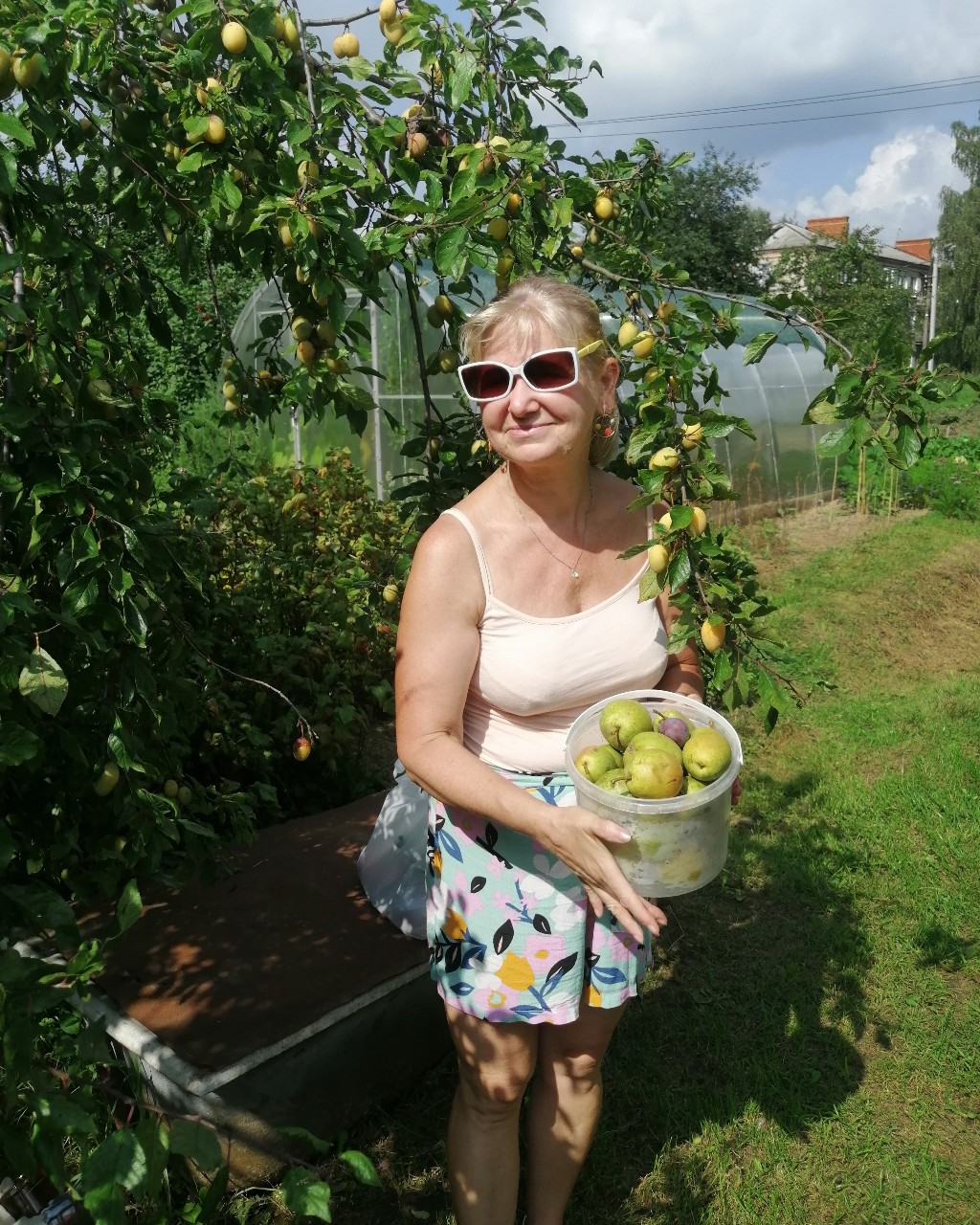 Выходные в Подмосковье 🍅🥒🥬🥦🥕
Яблочный спас 🍎🍏🍎🍐
Но у нас груши и сливы 😊
[#Московскаяобласть](Московскаяобласть) [#раменскийрайон](раменскийрайон) [#ЯблочныйСпас](ЯблочныйСпас) [#яблоки](яблоки) [#сливы](сливы) [#груши](груши) [#выходныевподмосковье](выходныевподмосковье) [#Россия](Россия) [#отдыхаемхорошо](отдыхаемхорошо) 