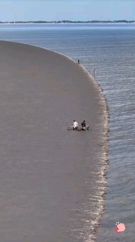 prikol в LOOKY. . [#ocean](ocean) [#no...