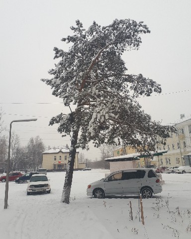 Татьяна в LOOKY. . 