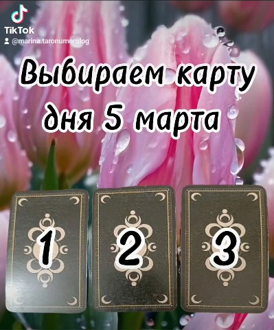 Looky_1673780729228 в LOOKY. . 