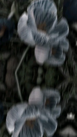 Looky_1669351525998 в LOOKY. . 