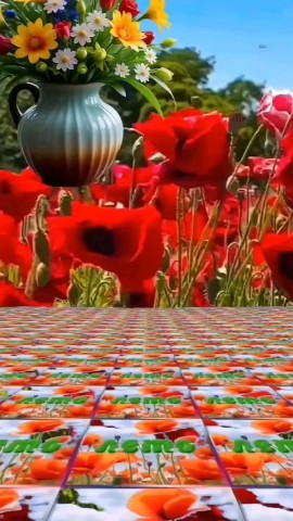 baigildina.svetlana в LOOKY. . 