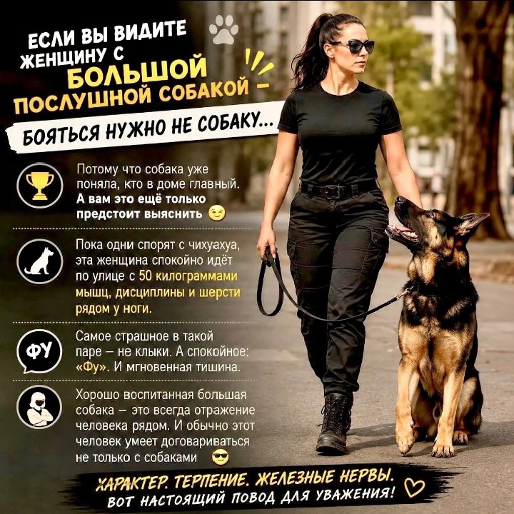  в LOOKY — публикация