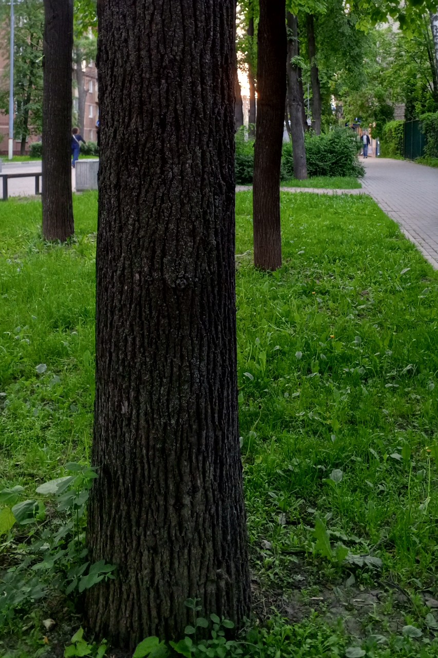 Olguita в LOOKY — публикация