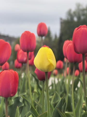 Артемка в LOOKY. . 🌷❤️