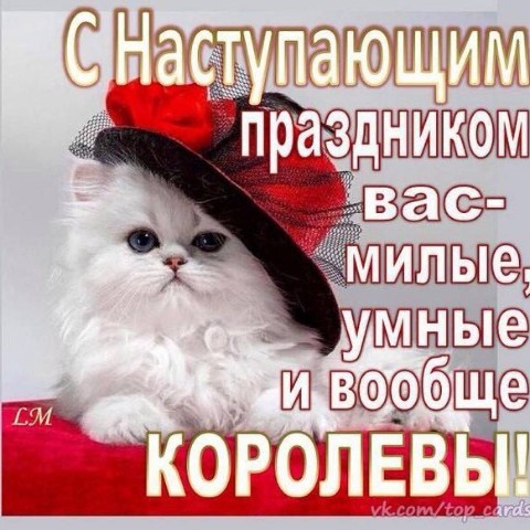 Looky_1689564190874 в LOOKY. . 