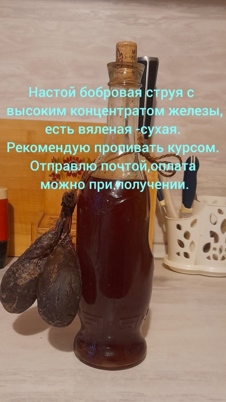 Бобровая Струя Настой-Вяленая in LOOKY. #рыбалка,#здоровье,#зож,#рекомендации,#советы,#иммунитет. Настойка Бобровая ст...