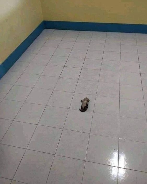 👉👈