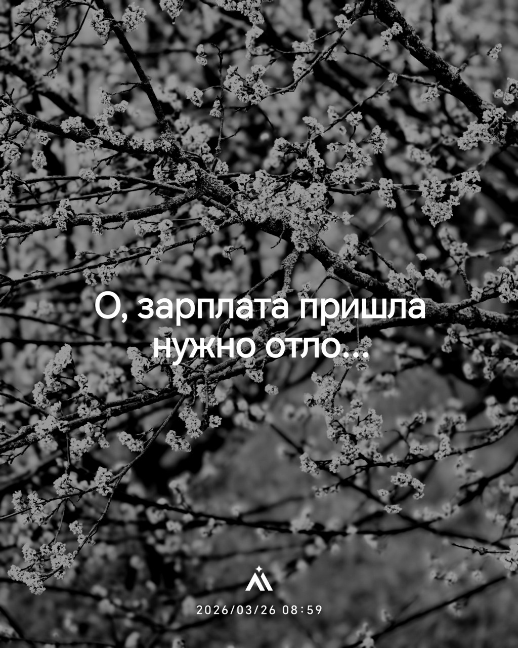 🙏

#деньсемьи