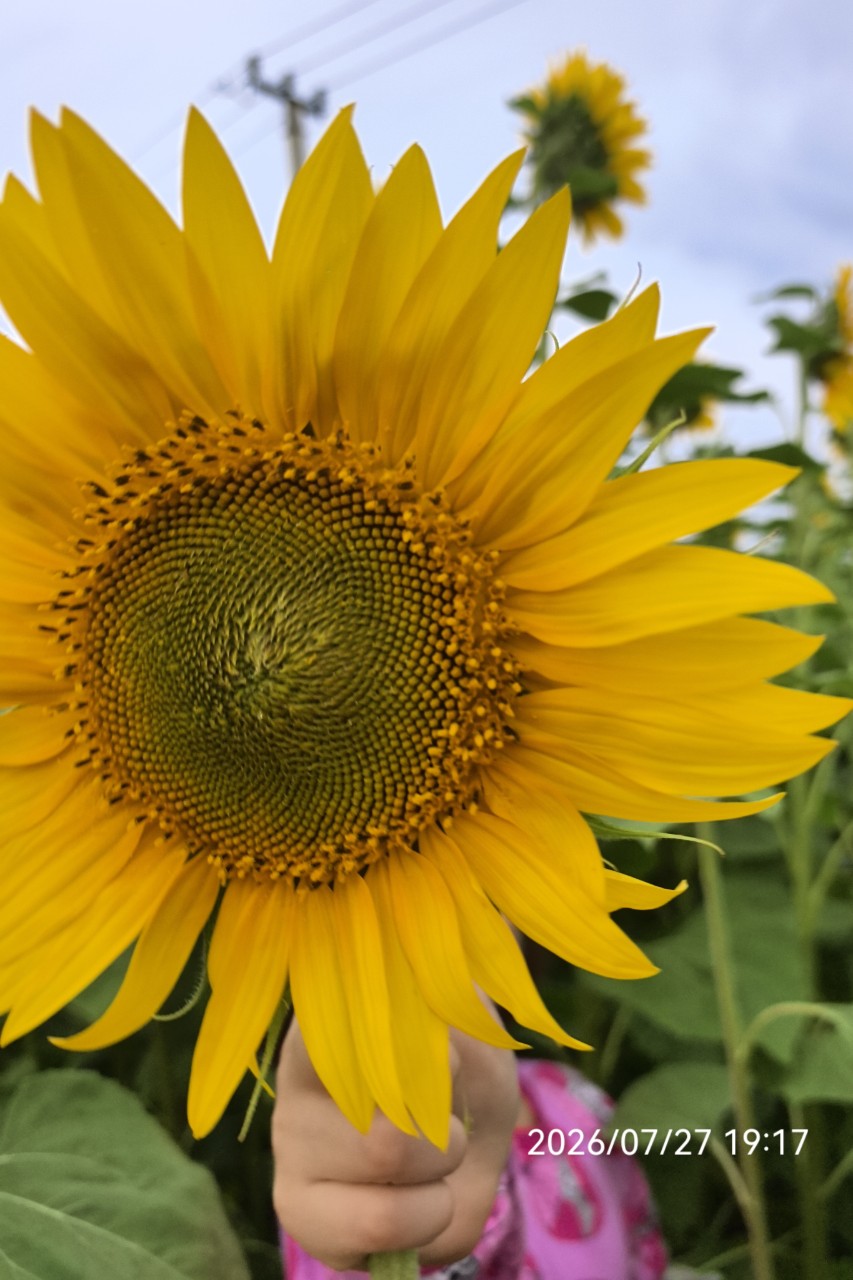 Август уже на носу. 🌻
Пусть он принесёт в твою жизнь чуть больше тёплых встреч, душевных разговоров, уютных вечеров и поводов улыбаться без причины.
Не торопи время — самые счастливые моменты часто приходят именно тогда, когда их совсем не ждёшь😍