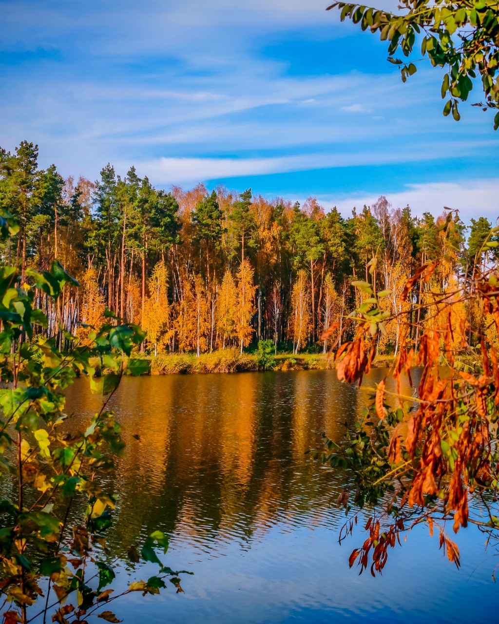 Mihnovets в LOOKY — [#photo](photo) [#photography](photography) #photoonphoto [#
