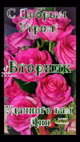 Сириус в LOOKY — публикация