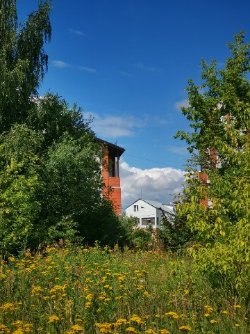 sakura1315 в LOOKY. #фото,#лето,#август,#природа,#прогулка,#пейзаж,#небо,#photo,#summer,#nature,#landscape,#bluesky,#clouds,#looky,#looky_Top,#looky_official. ✨ Лето за городом

#...
