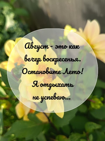 Looky_1690939111342 в LOOKY. . 