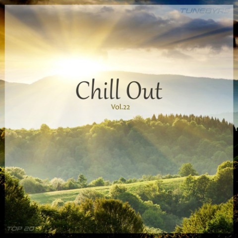 TUNEBYRS в LOOKY. #freedownload,#mix,#chill,#chillout,#chillstep,#ambient,#downtempo,#music,#electronic,#hearthis,#top20,#tunebyrs. Микс Chill Out Vol.2...