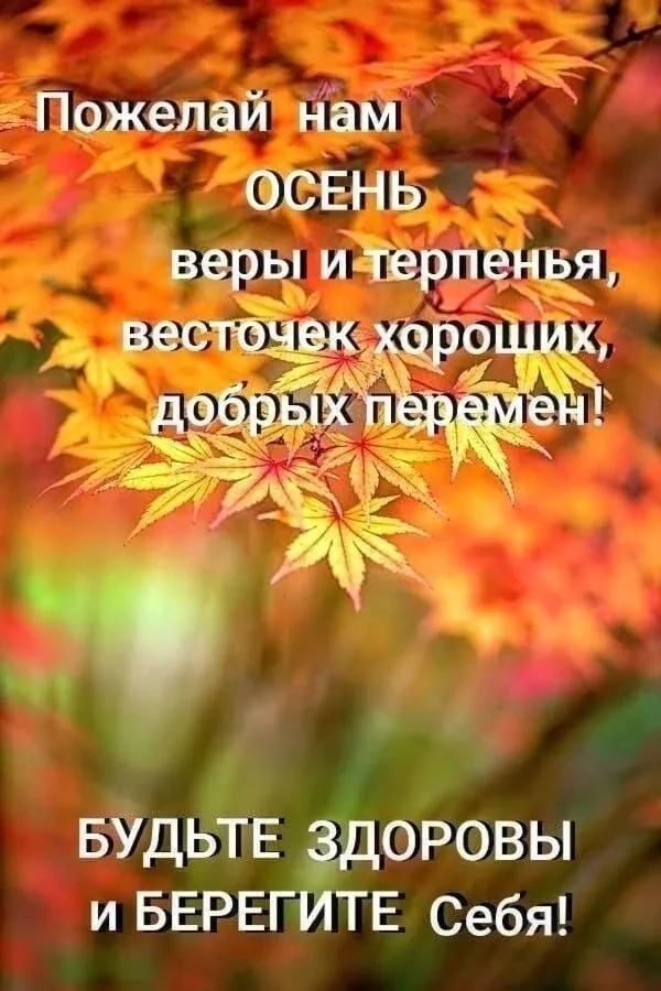 Надежда в LOOKY — фото 2