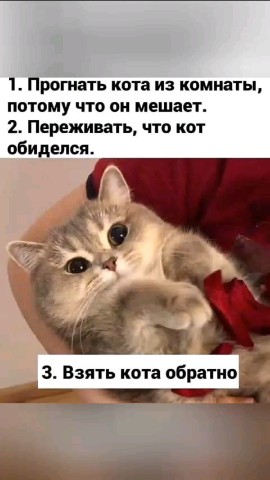  в LOOKY — публикация