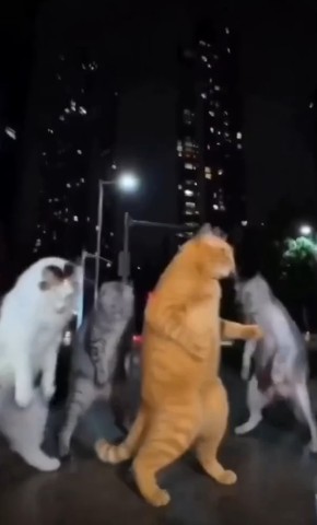 Мария Рубинова в LOOKY — публикация
