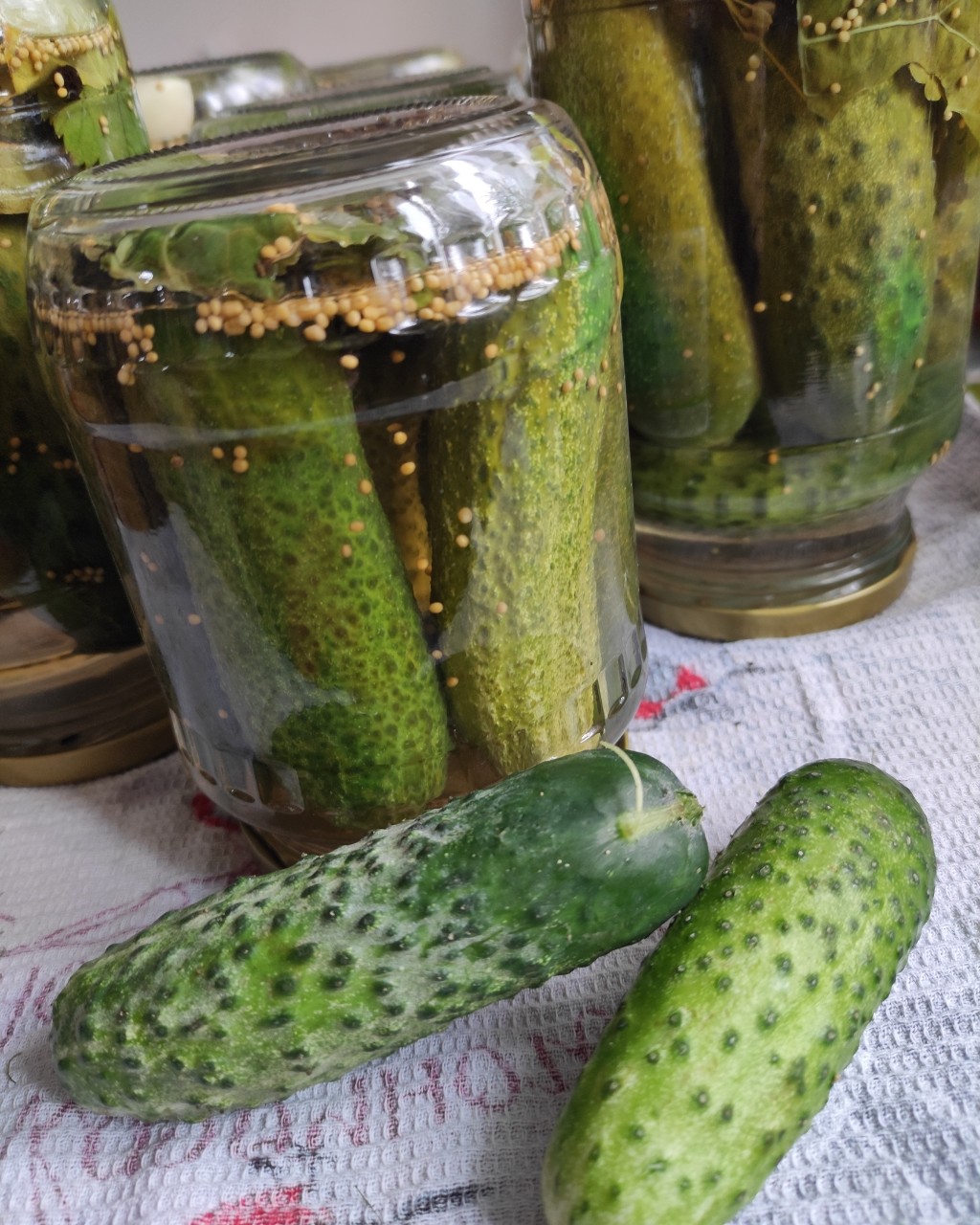 alvinograd в LOOKY — фото 1