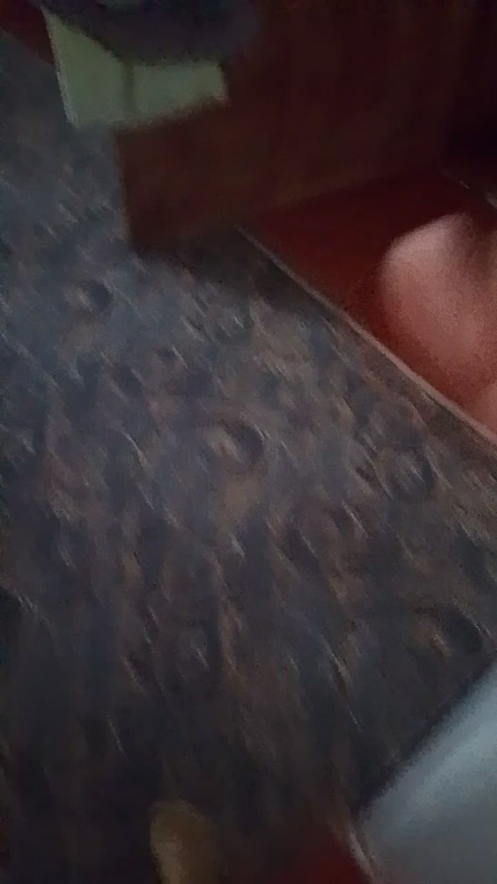 хомякЛёлик в LOOKY — Теперь про 3 животных снимаю❤️🐹🐱🐶