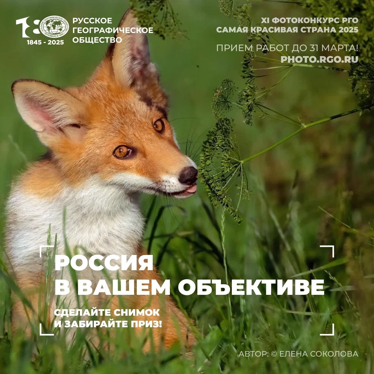 mama.na.shpilke в LOOKY — фото 3