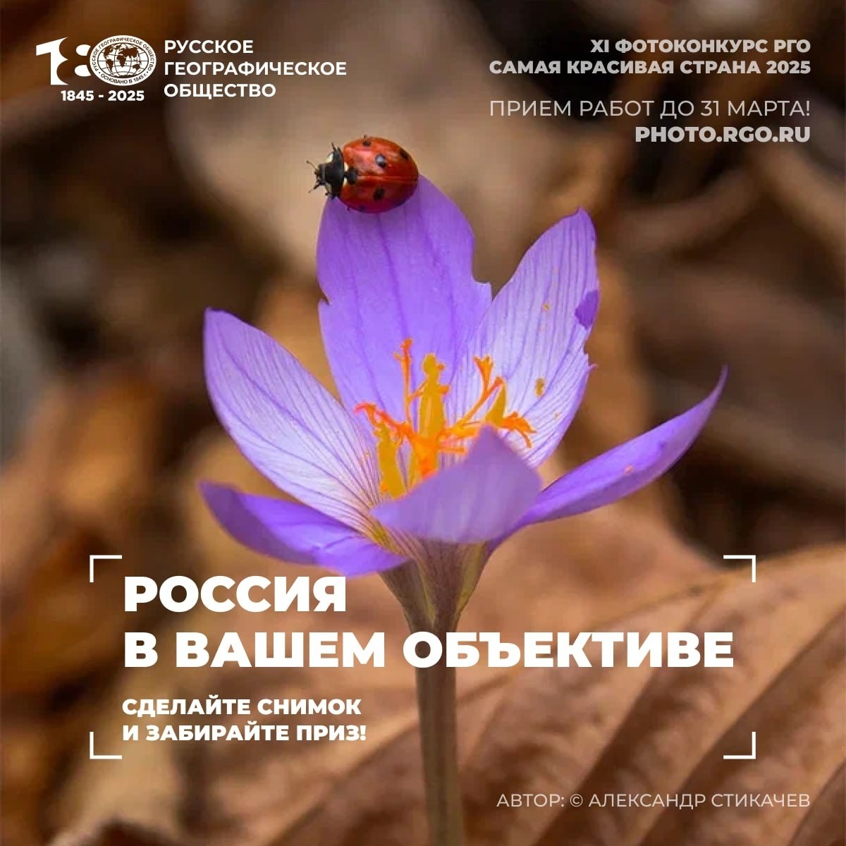 mama.na.shpilke в LOOKY — фото 2