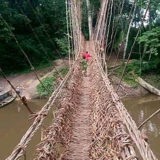 mamy Amos 12 в LOOKY — My village in Guinea 🇬🇳