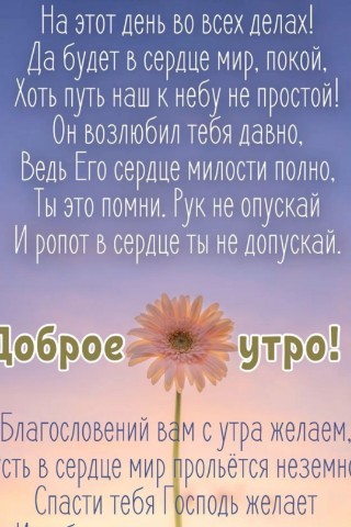 mianita563 в LOOKY. . Всем Мира, крепкого ...