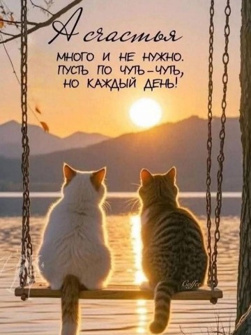 ЛУЧИК в LOOKY. . 