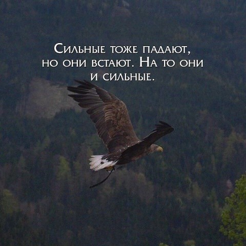 Татьяна в LOOKY. . Диалог в интернете 
...