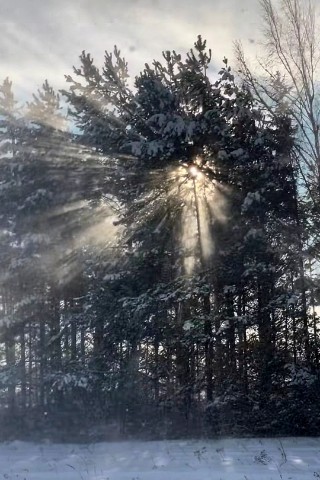 romaluk_ в LOOKY. . 