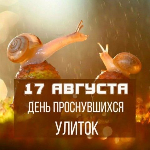 Елена в LOOKY. . 